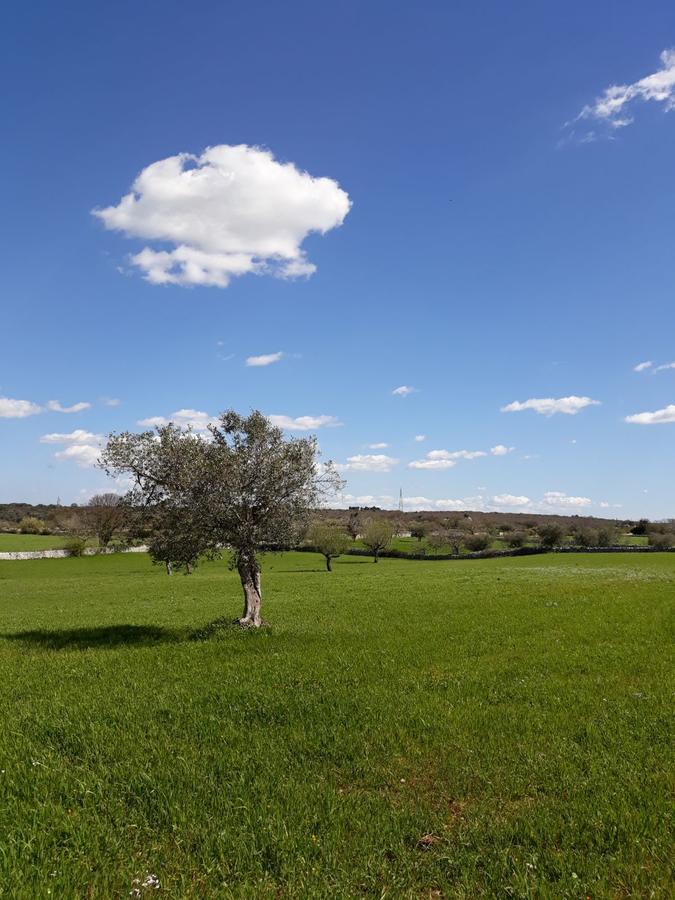 Enjoytrulli - Countryside Villa โนซิ ภายนอก รูปภาพ